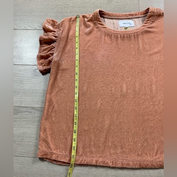 Current Elliott Emerge Ruffle Sleeve Velvet Pink Top - Picture 7 of 11
